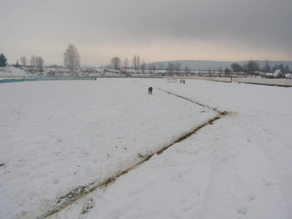 Mikulášský coursing ve Svitavách 8.12.2013